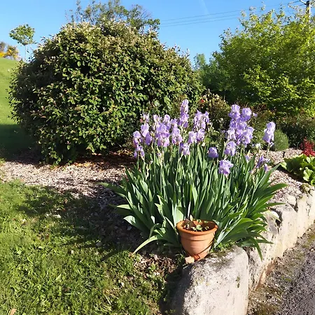 D'hotes La Belle Etape Bed & Breakfast Tussigere
