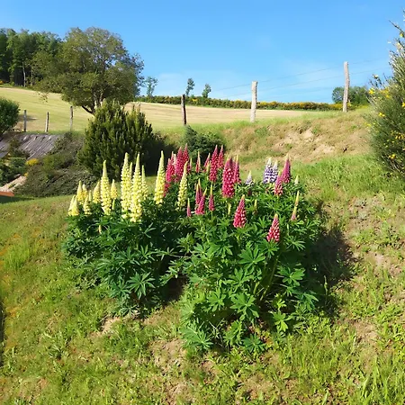 Bed & Breakfast D'hotes La Belle Etape Tussigere