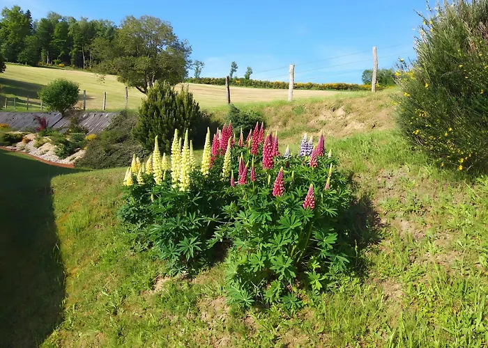 D’hôtes La Belle étape