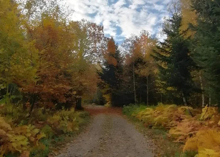 D’hôtes La Belle étape 3* Tussigere