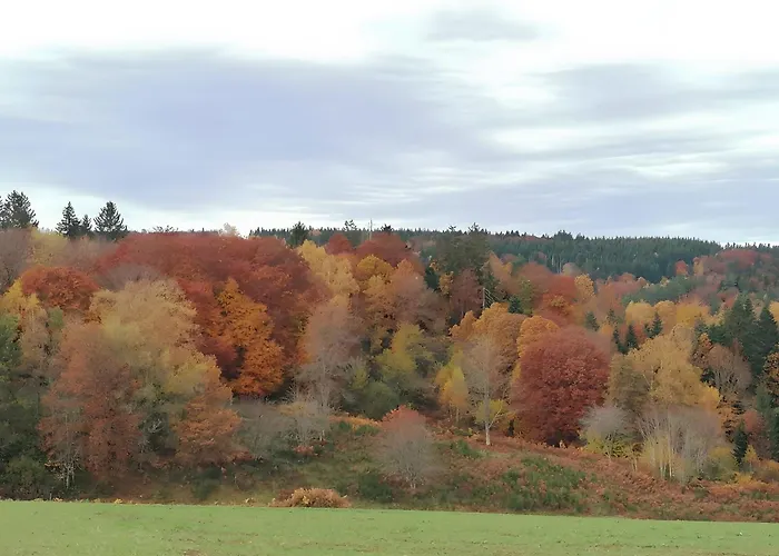 Couette-café D’hôtes La Belle étape Tussigere